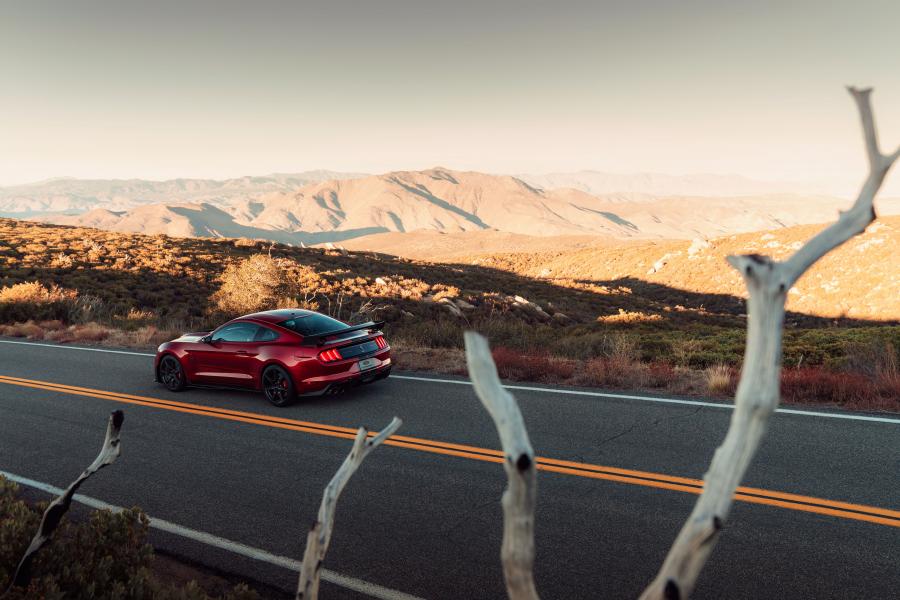  Ford Mustang Shelby GT500 2019 года  (фото 62 из 119)